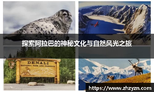 OETY欧亿体育官网